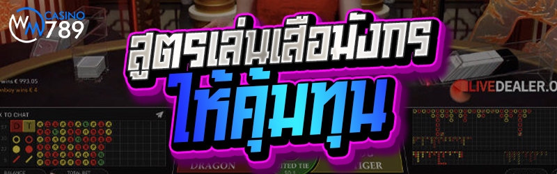 สูตรเล่นเสือมังกรให้คุ้มทุน  